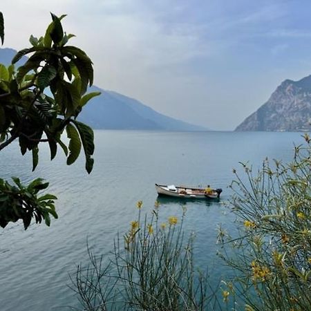Gavazzo NuovaAlloggio Turistico Moluアパートメント エクステリア 写真
