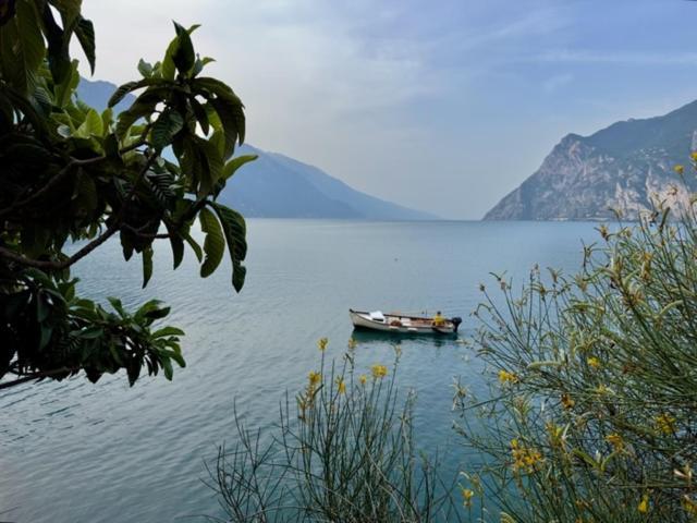 Gavazzo NuovaAlloggio Turistico Moluアパートメント エクステリア 写真