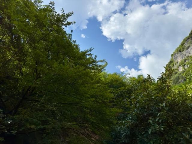 Gavazzo NuovaAlloggio Turistico Moluアパートメント エクステリア 写真