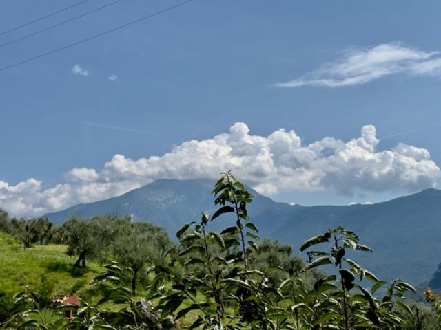 Gavazzo NuovaAlloggio Turistico Moluアパートメント エクステリア 写真